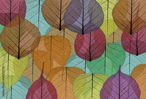 image of many autumn colorful backgrounds as a background