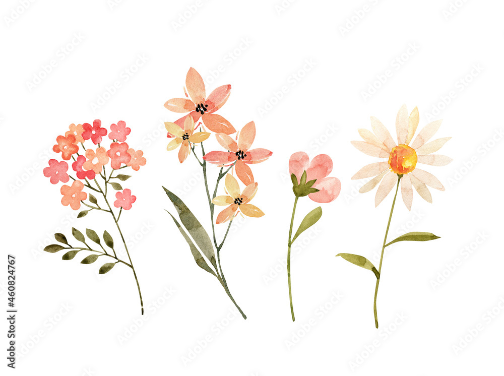 botanical set of flowers and plants. watercolor drawing, hand painted on white background	