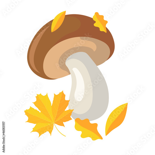 Cep mushroom. Mushroom covered with leaves. Vector illustration isolated on white background.