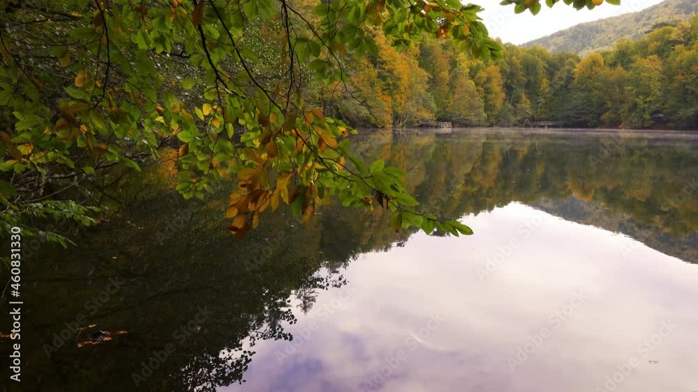 Reflection of trees with yellowed leaves in autumn in the water. Reflection of trees with yellowed leaves in autumn in the water.