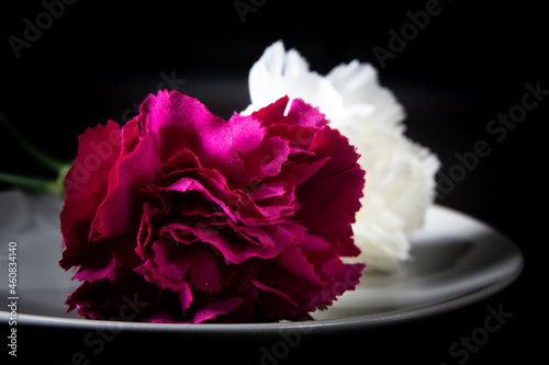 artificial rose photo