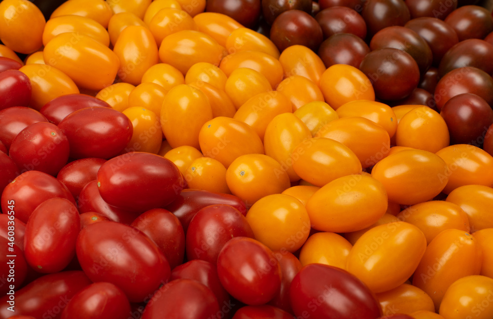 Long Plum Tomato Group Isolated, Fresh Small Cherry Tomatoes Long Plum Tomato Group Isolated, Fresh Small Cherry Tomatoes