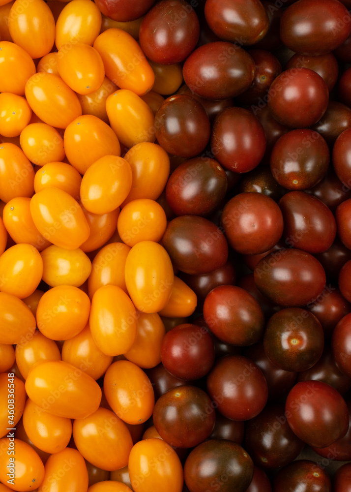 Long Plum Tomato Group Isolated, Fresh Small Cherry Tomatoes Long Plum Tomato Group Isolated, Fresh Small Cherry Tomatoes