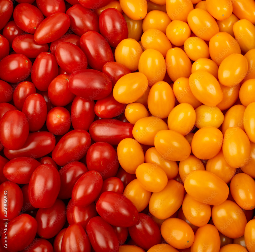 Long Plum Tomato Group Isolated, Fresh Small Cherry Tomatoes Long Plum Tomato Group Isolated, Fresh Small Cherry Tomatoes