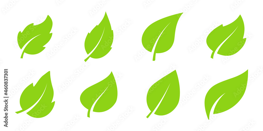 Green leaves icons in flat style for graphic design. Collection with green leaves, environment and nature eco sign. Organic, eco, green product. Ecology nature element vector icon Green leaves icons in flat style for graphic design. Collection with green leaves, environment and nature eco sign. Organic, eco, green product. Ecology nature element vector icon