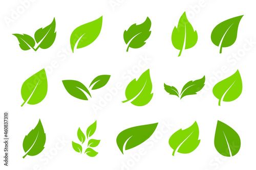 Green leaves icons in flat style for graphic design. Collection with green leaves, environment and nature eco sign. Organic, eco, green product. Ecology nature element vector icon