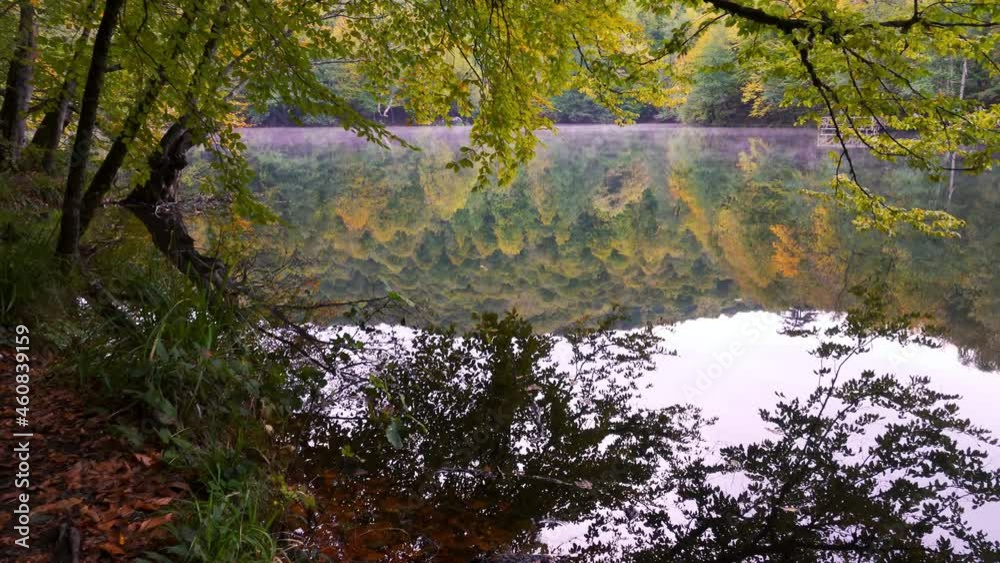 Reflection of trees with yellowed leaves in autumn in the water. Reflection of trees with yellowed leaves in autumn in the water.