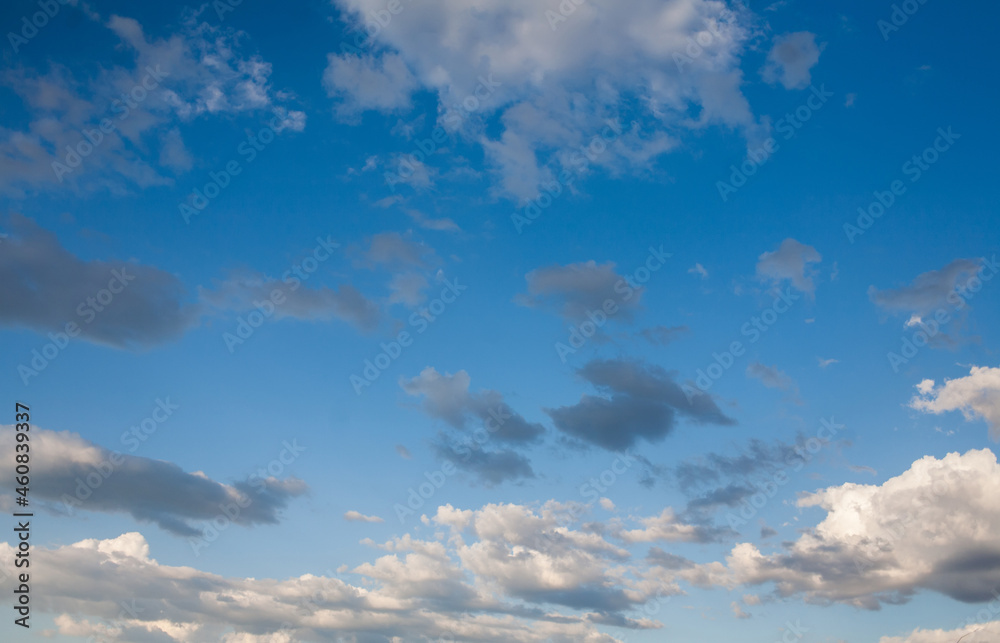 Fototapeta premium beautiful sparse clouds in the blue sky