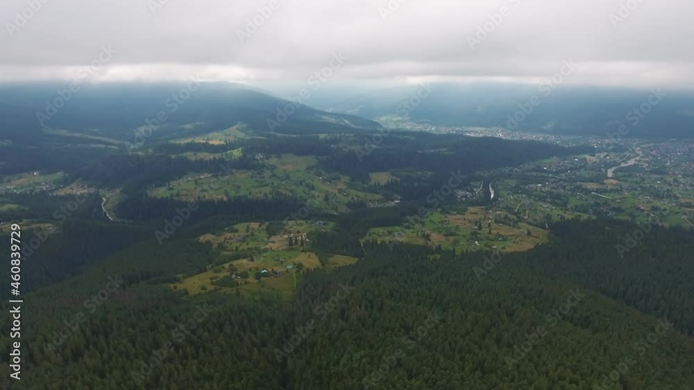 Aerial shot of a wide valley in the Carpathian mountains covered with spruces 