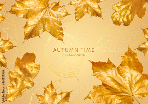 Autumn horizontal banner design. Decorative vector template with gold leaf fall (orange leaves of maple, oak) on background. Floral line pattern for invitation card, poster a4, notebook page