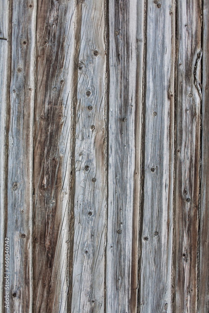 Fototapeta premium Set of playing cardsAces and two 10 on white