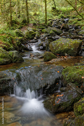 Fototapeta Naklejka Na Ścianę i Meble -  Small cascades on a creek of Belledonne mountain range, taken at low speed