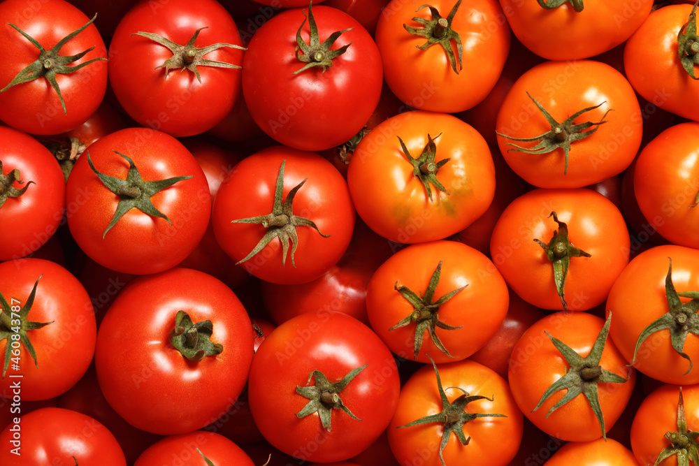 Close-up of ripe fresh red and yellow tomatoes. Food background. Top view. Close-up of ripe fresh red and yellow tomatoes. Food background. Top view.