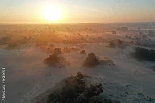 Aerial from sunrise in the forest from Friesland in the Netherlands photo