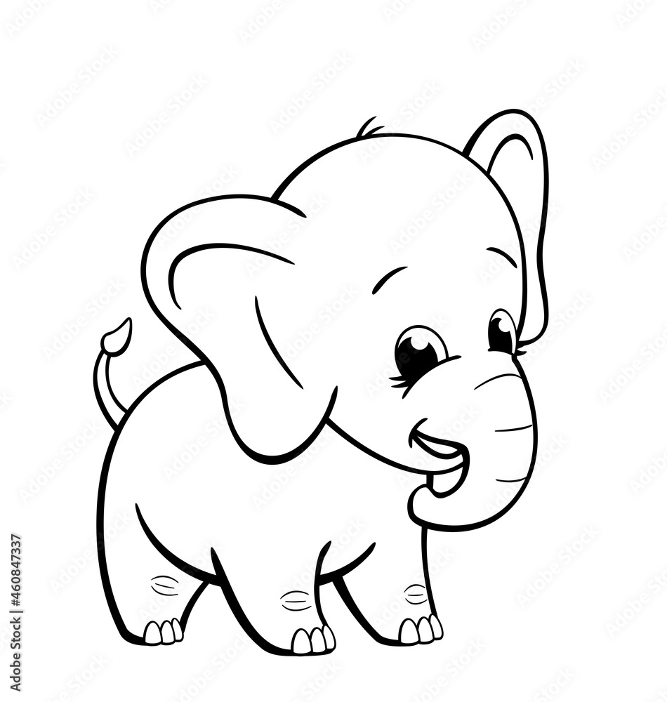 infant baby elephant standing coloring book image