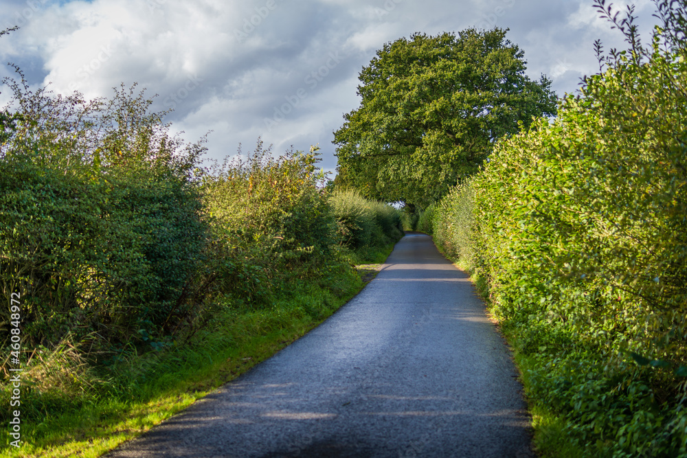 Country Road