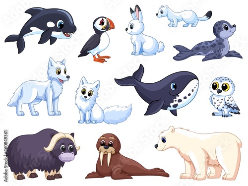 Arctic animals. Cartoon polar wolf, animal tundra. White bear and fox, cute cold seal. Winter isolated childish garish vector north pole characters