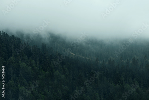 Majestic view on beautiful fog mountains in mist landscape. Dramatic unusual scene. Travel background. Exploring beauty world. The Caucasus Mountains. Sochi district, Russia