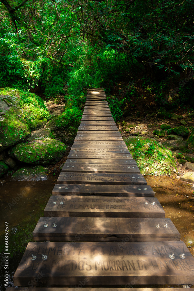 Beautiful suspension bridge in tropical forest, scenic landscape