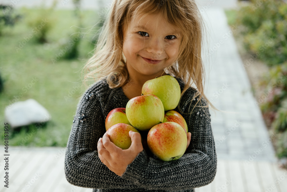 The cute girl holding a large harvest of beautiful fresh apples. The cute girl holding a large harvest of beautiful fresh apples.