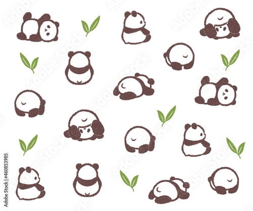 丸い赤ちゃんパンダの壁紙