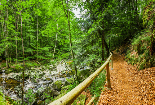 Wanderweg an der Buchberger Leite im Bayersichen Wald