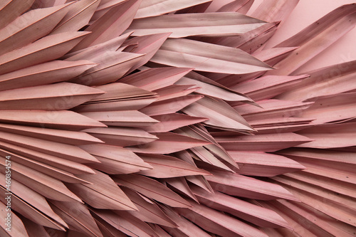 Dried pink tropical palm tree leaf boho style fashionable decoration background