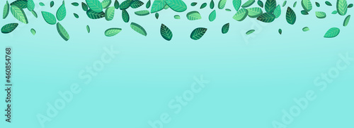 Swamp Foliage Realistic Vector Panoramic Blue