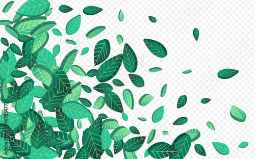 Lime Greens Tree Vector Transparent Background