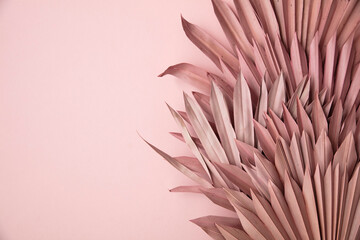 Dried pink tropical palm tree leaf boho style fashionable decoration on a pastel pink background