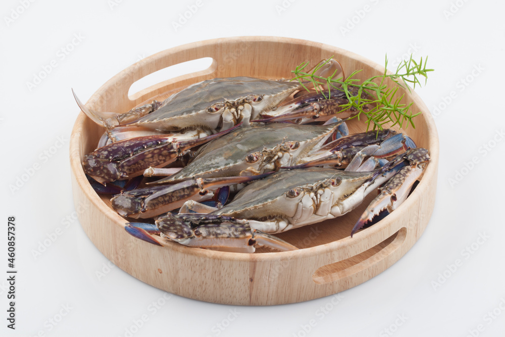 신선한 게 신선한 게