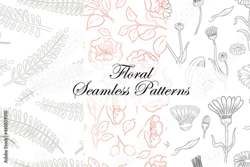 Seamless Patterns with Calendula, Rose, Huang Qi