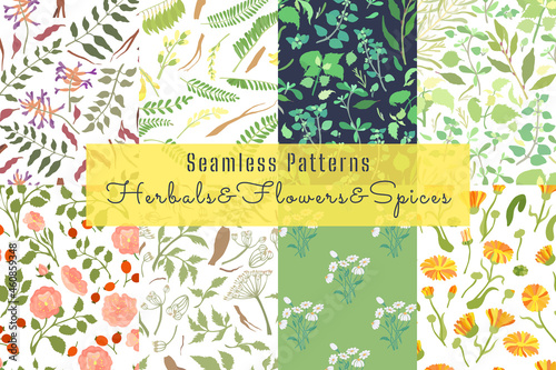 Set of Patterns with Culinary and Medicinal Herbs