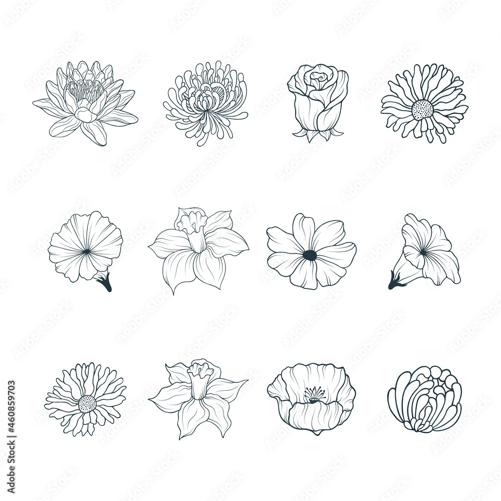 Hand drawn set of twelve different flower heads isolated on white background. Vector illustration for gift cards design and invitations.