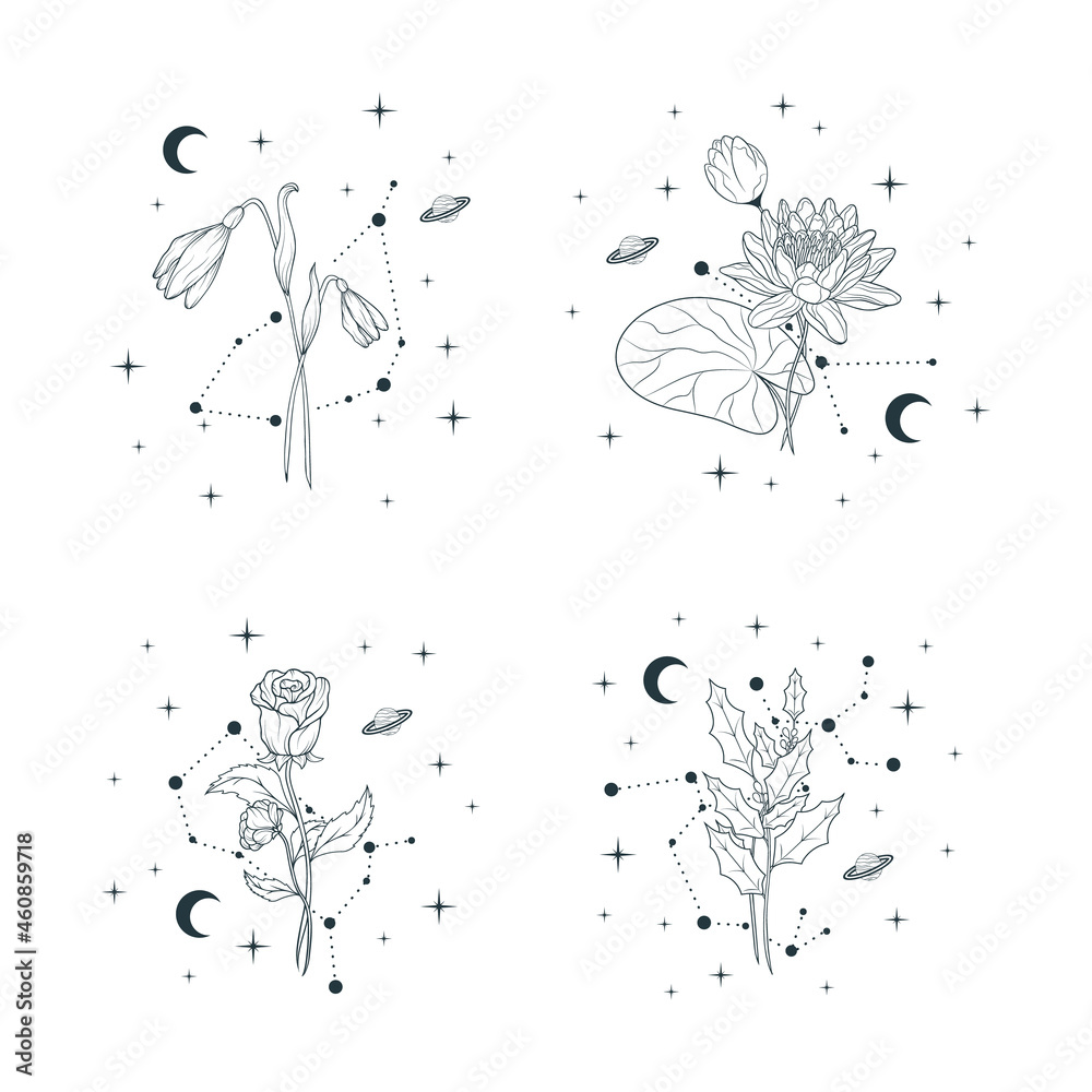 Hand drawn set of celestial birth month flowers. Four vector isolated spiritual plants, moon and stars for greeting cards and wedding invitations. Hand drawn set of celestial birth month flowers. Four vector isolated spiritual plants, moon and stars for greeting cards and wedding invitations.