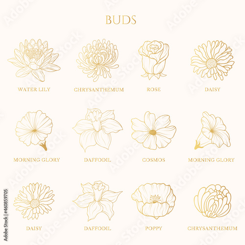 Hand drawn set of twelve different gold flower heads isolated on white background. Vector illustration for greeting cards and wedding invitations.