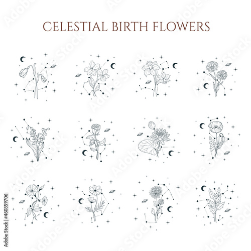 Celestial birth month flower set. Vector isolated geometrical and spiritual plants, moon and stars for greeting cards and invitations.