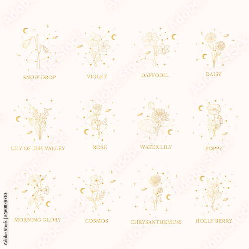 Celestial birth month gold flower set. Vector isolated geometrical and spiritual plants, moon and stars for gift cards and wedding invitations.
