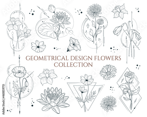 Geometrical design flowers collection. Vector isolated spring and summer flowers  for wedding invitations and greeting cards.