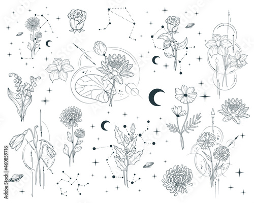 Celestial birth month flowers set. Vector isolated spiritual plants, moon and stars for greeting cards and wedding invitations.