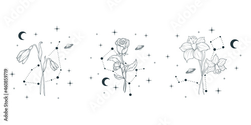 Set of three celestial birth month flowers. Vector isolated background with spiritual plants, moon and stars for wedding invitations and  greeting cards.