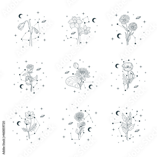 Twelve celestial birth month flowers. Vector isolated set with spiritual plants, moon and stars for wedding invitations and  greeting cards.