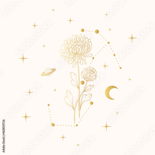 Hand drawn celestial chrysanthemum. Vector illustration with golden geometrical and spiritual plants, stars and moon for greeting cards and wedding invitations.