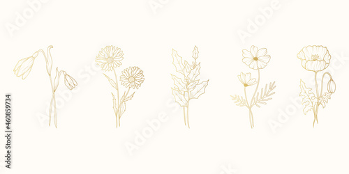 Five hand drawn golden flowers set. Vector isolated spring and summer blossom herbs and buds for wedding invitations. photo