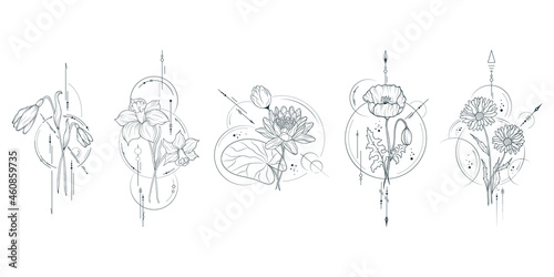 Five hand drawn flowers set. Vector isolated geometrical  plants for wedding invitations and  greeting cards.