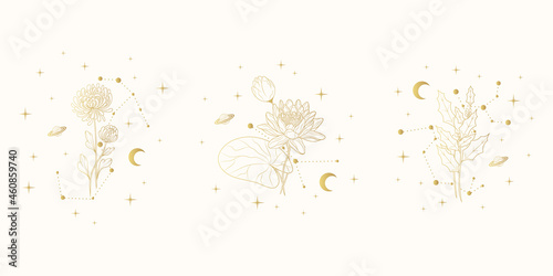 Hand drawn golden set of celestial birth month  flowers. Three vector isolated spiritual plants, moon and stars for gift cards and wedding invitations. photo
