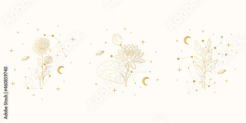 Hand drawn golden set of celestial birth month  flowers. Three vector isolated spiritual plants, moon and stars for gift cards and wedding invitations.