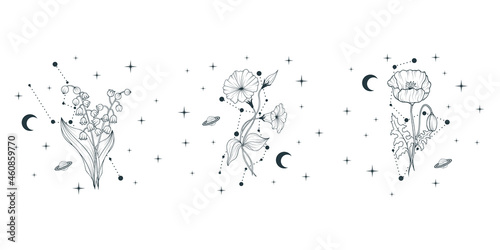 Set of three celestial birth month flowers. Vector isolated background with spiritual plants, moon and stars for wedding invitations and  greeting cards.
