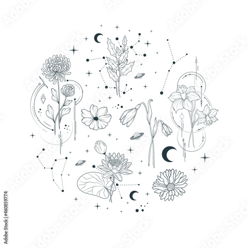 Round illustration with celestial   flowers . Vector isolated spiritual plants, moon and stars for greeting cards and wedding invitations.