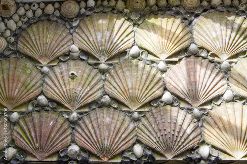 Shell and pearl design on wall